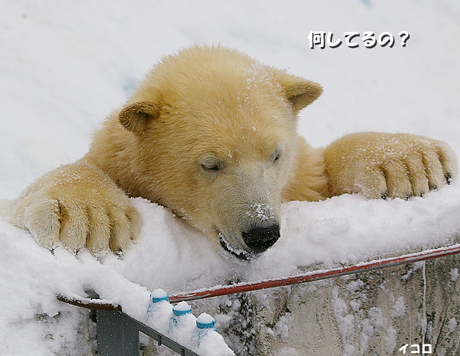 何してる