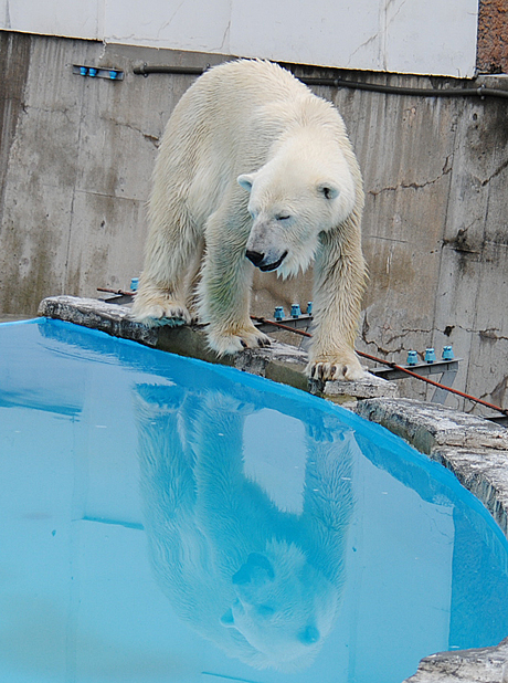 気になる