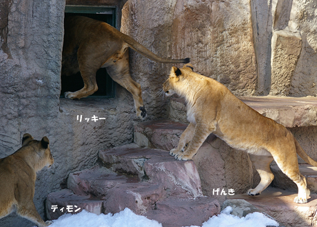 屋内入り