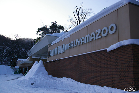 円山動物園