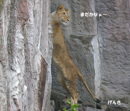 まだかなあ