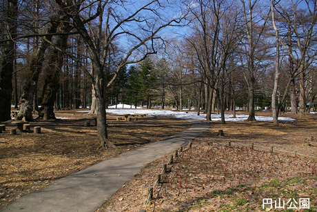 円山公園