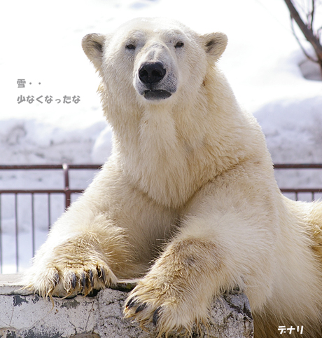 雪少なく