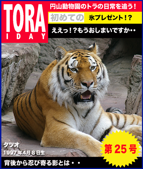 VOL25