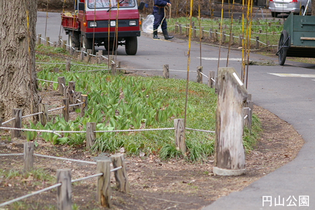 円山公園