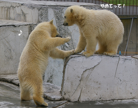 やめてって