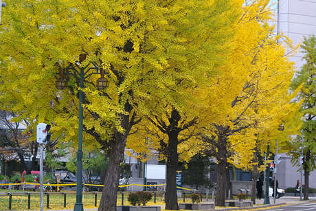 大通公園