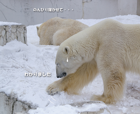 わかりました