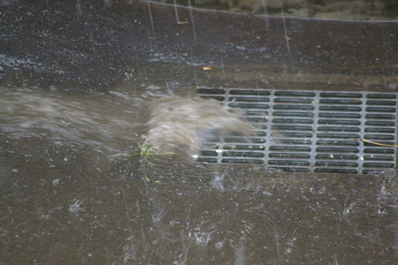 雨