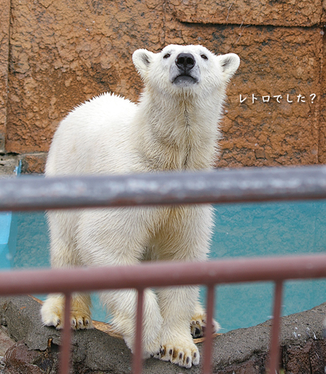 レトロ