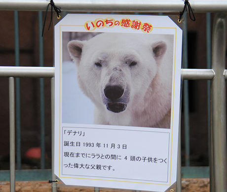 デナリ