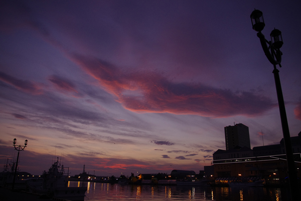 幣舞橋