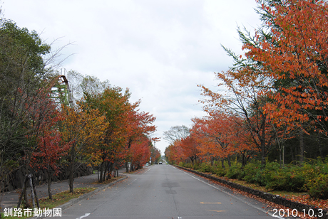 釧路市動物園