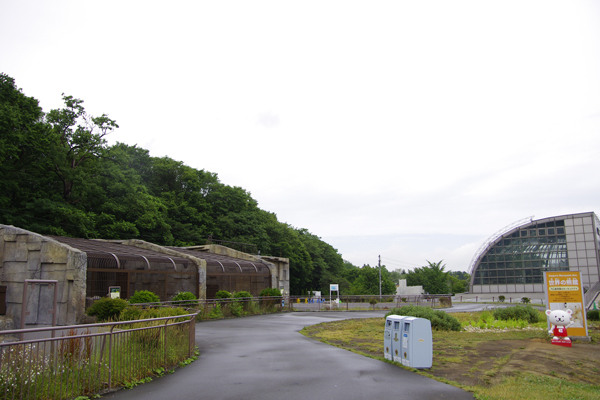 雨