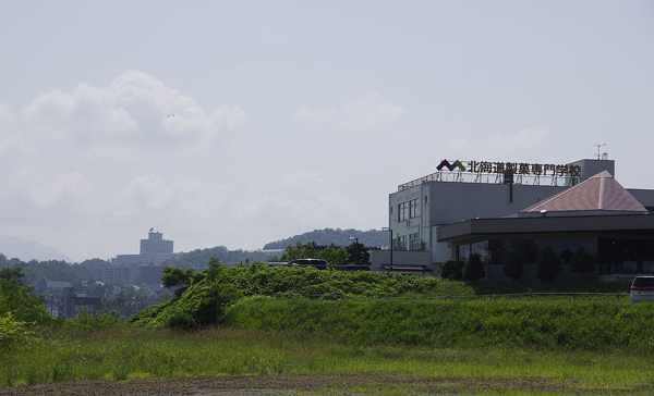 東海