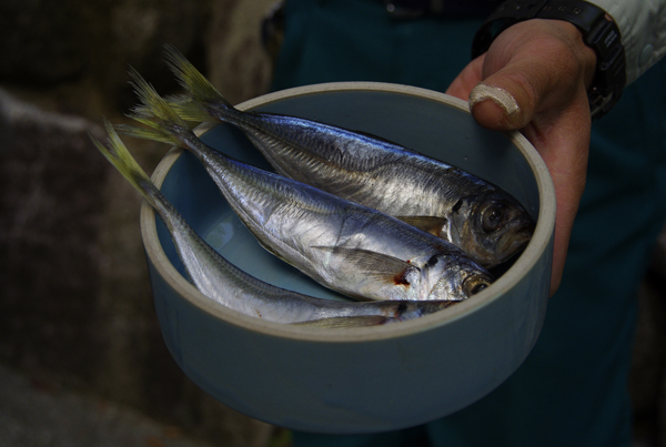 あじ