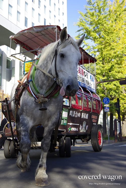 幌馬車