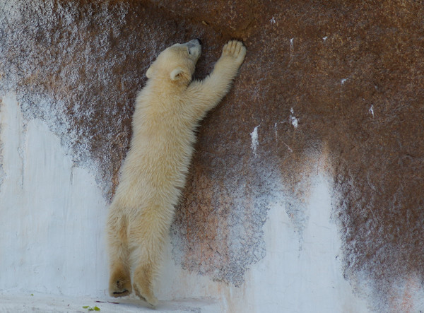 ジャンプ