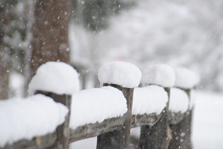 雪