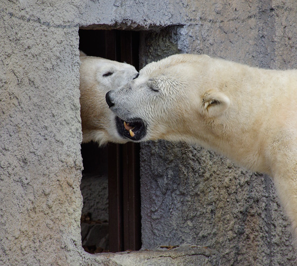 でな口