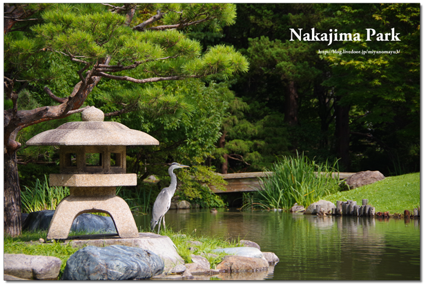 中島公園