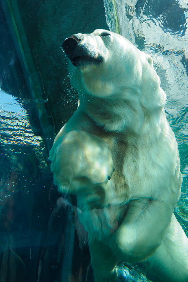 水中