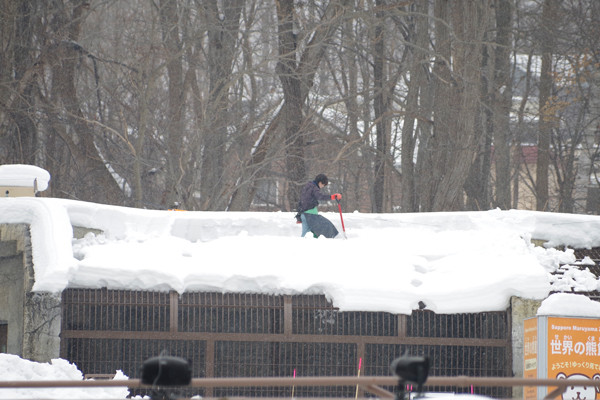 雪下ろし