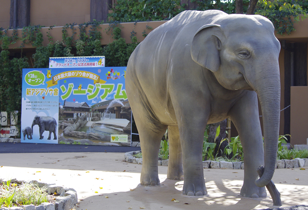 東山動物園