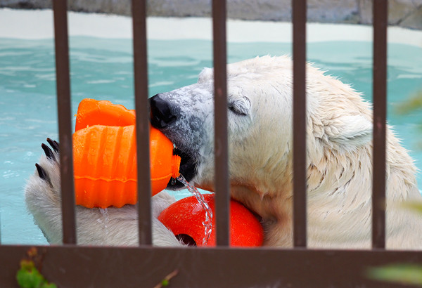 湯たんぽ