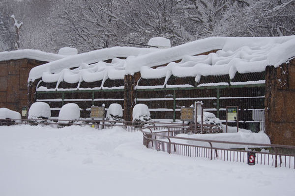 天井