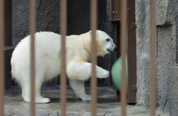 トンネル