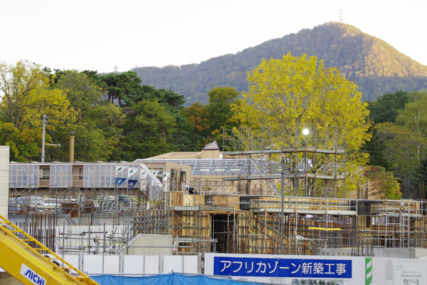 アフリカ