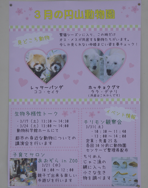 3月の円山動物園