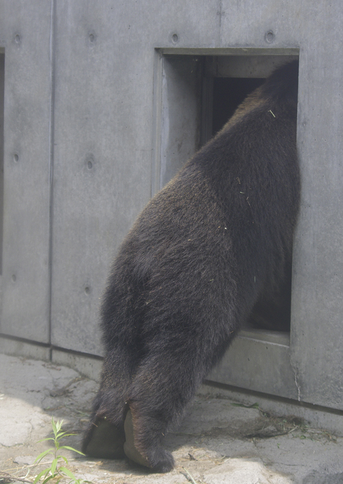 足