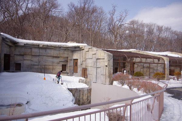 除雪