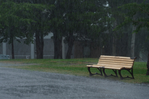 雨