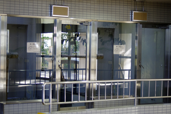 展示