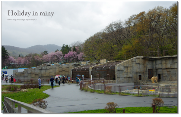 雨