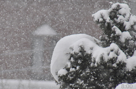 雪