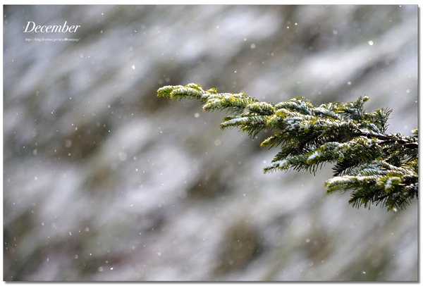 雪