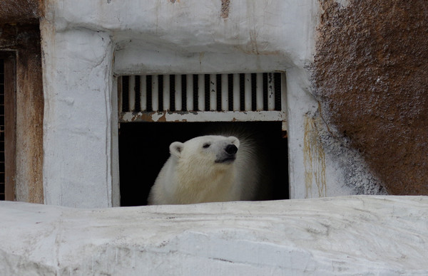 登場