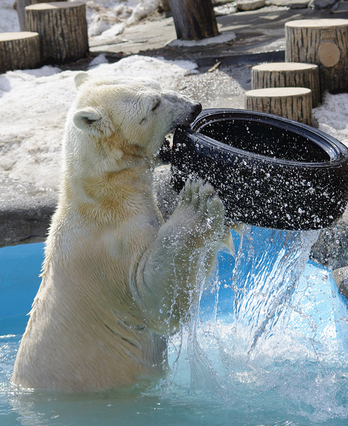 水しぶき