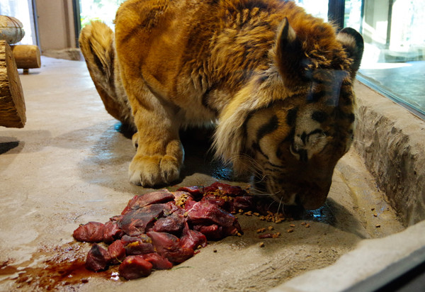 食べる