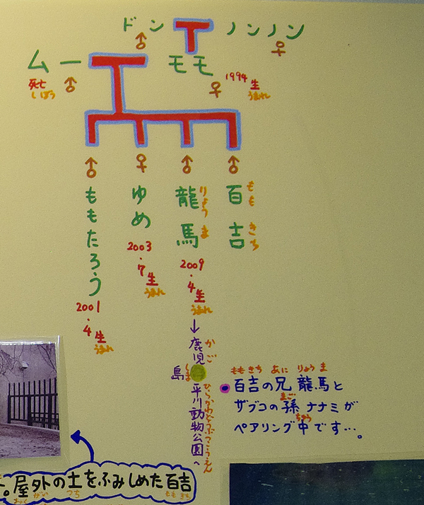 長崎家系図