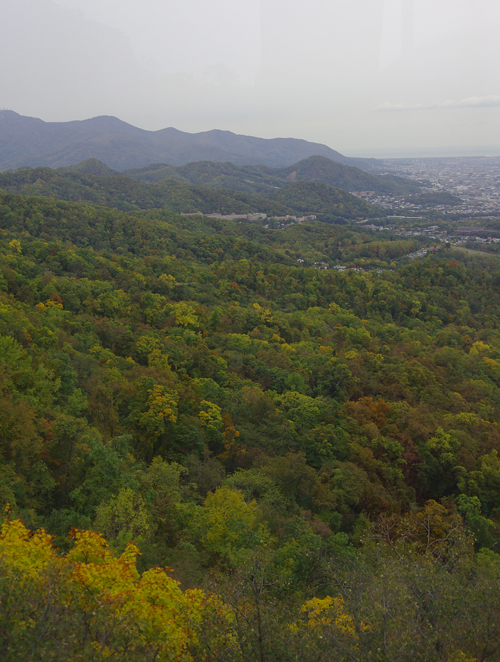 円山