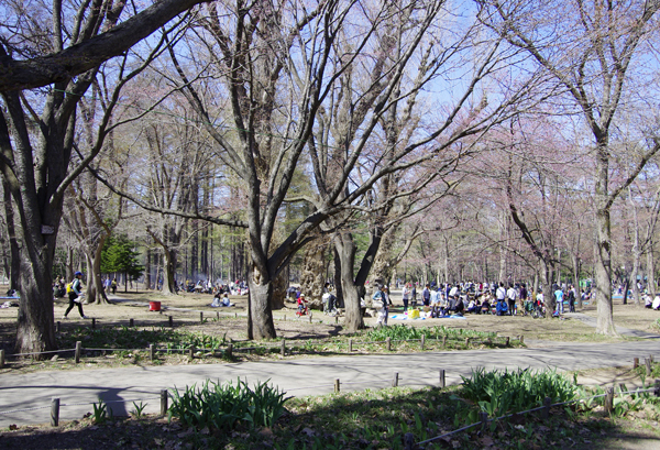 シ円山公園