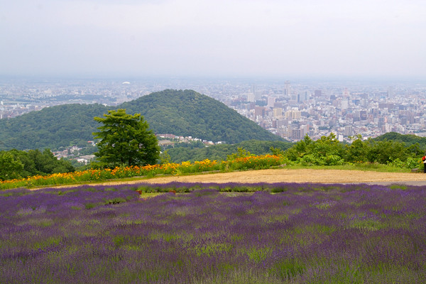 幌見峠