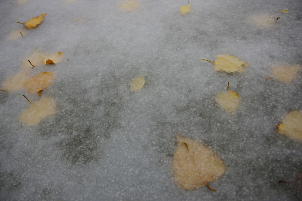 積雪