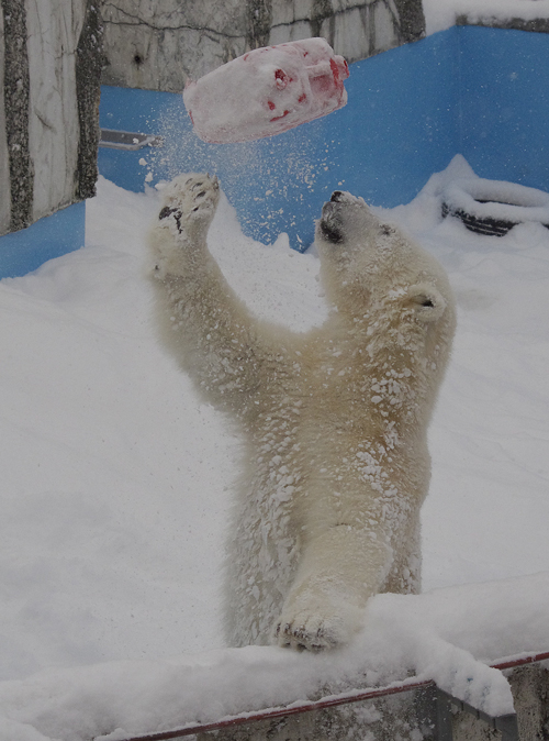 雪