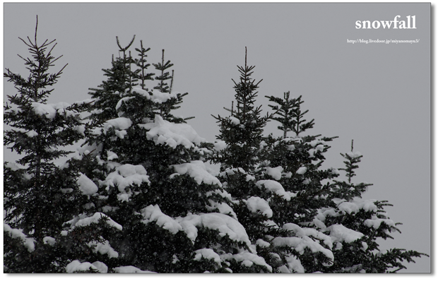 雪